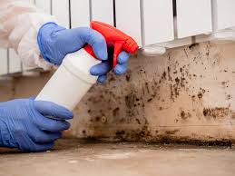 Reliable Woodsville, NH Mold Removal & Remediation Solutions